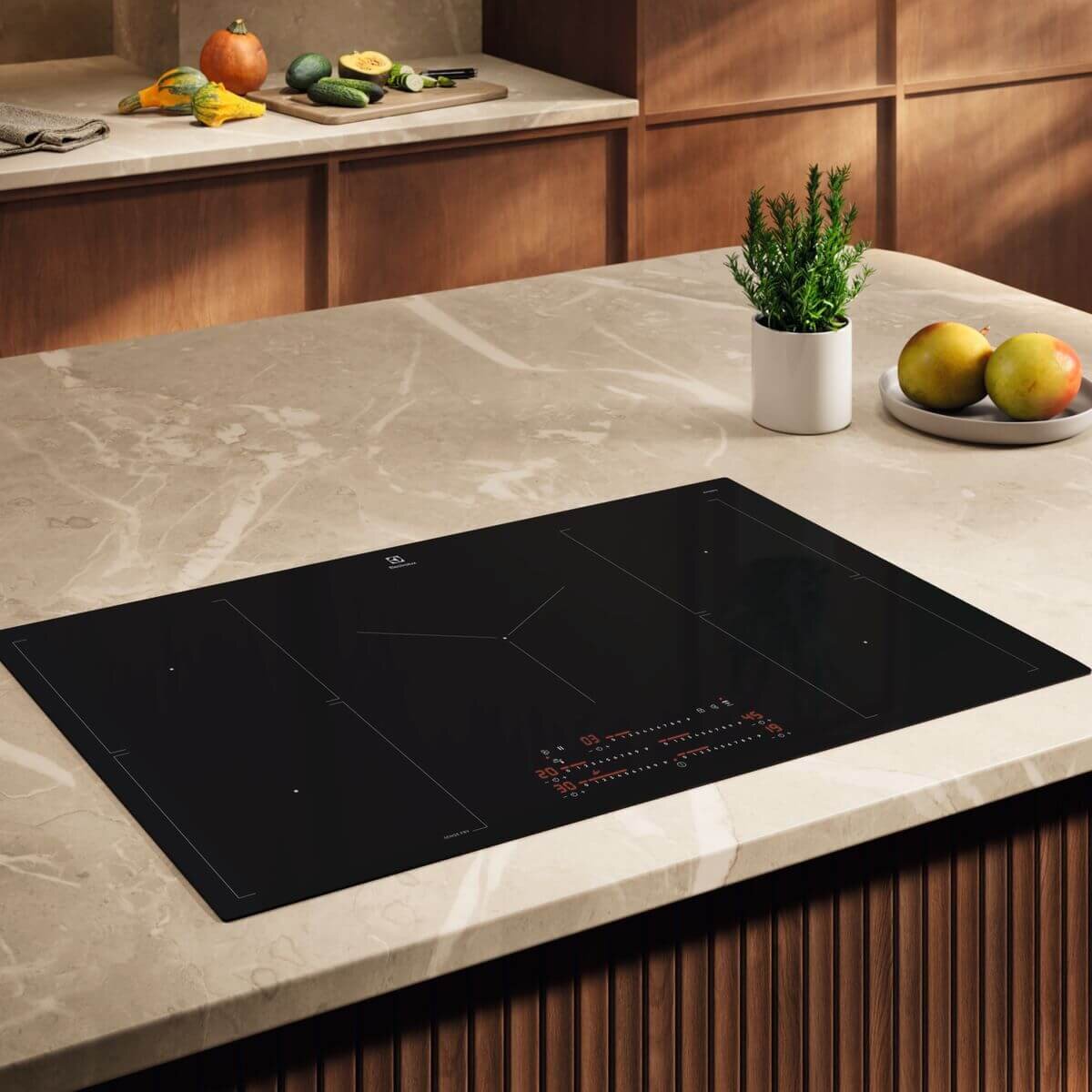 Electrolux EHI9575BF, photo 2